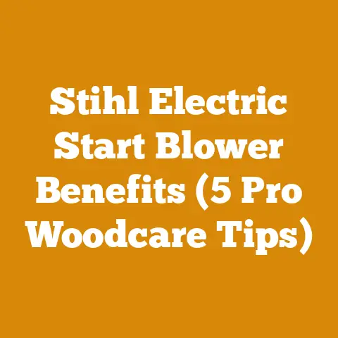 Stihl Electric Start Blower Benefits (5 Pro Woodcare Tips)