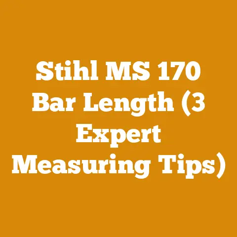 Stihl MS 170 Bar Length (3 Expert Measuring Tips)