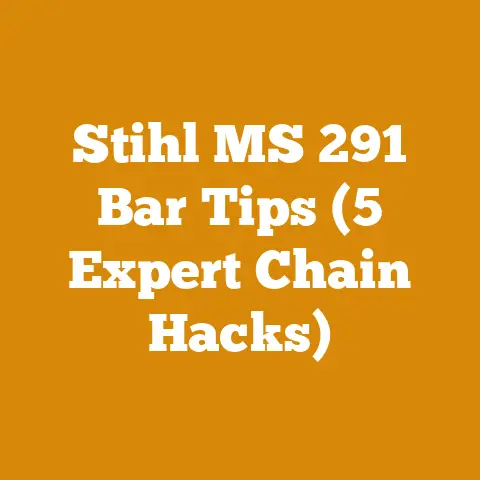 Stihl MS 291 Bar Tips (5 Expert Chain Hacks)