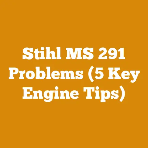 Stihl MS 291 Problems (5 Key Engine Tips)