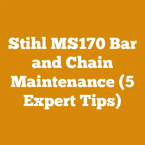 Stihl MS170 Bar and Chain Maintenance (5 Expert Tips)