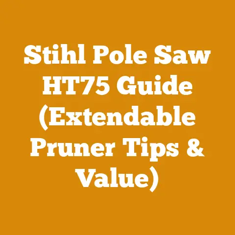 Stihl Pole Saw HT75 Guide (Extendable Pruner Tips & Value)