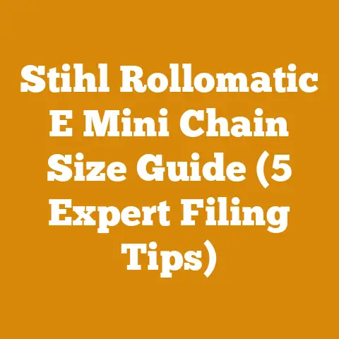 Stihl Rollomatic E Mini Chain Size Guide (5 Expert Filing Tips)