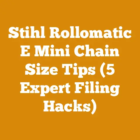 Stihl Rollomatic E Mini Chain Size Tips (5 Expert Filing Hacks)