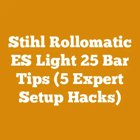 Stihl Rollomatic ES Light 25 Bar Tips (5 Expert Setup Hacks)