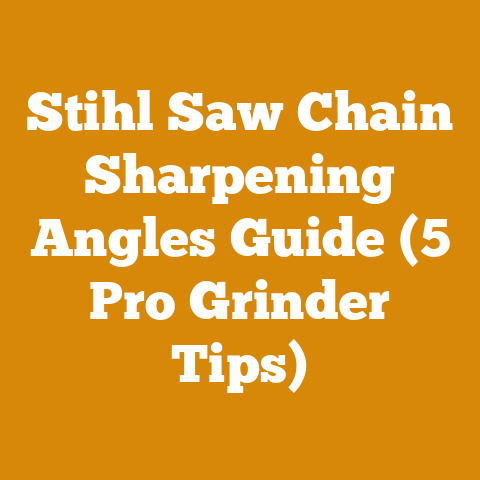 Stihl Saw Chain Sharpening Angles Guide (5 Pro Grinder Tips)