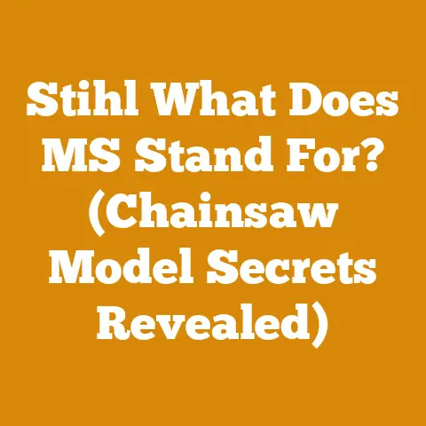 Stihl What Does MS Stand For? (Chainsaw Model Secrets Revealed)