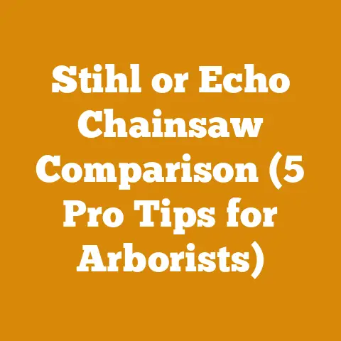 Stihl or Echo Chainsaw Comparison (5 Pro Tips for Arborists)