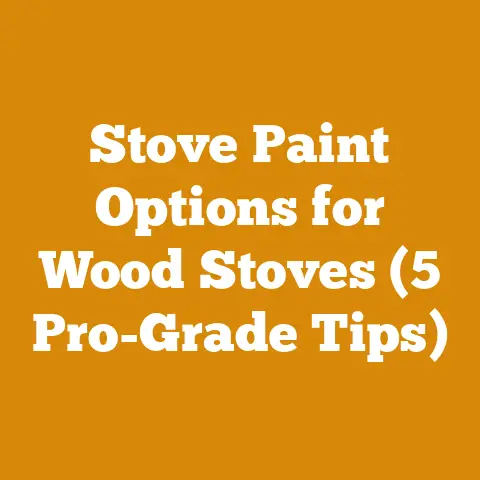 Stove Paint Options for Wood Stoves (5 Pro-Grade Tips)