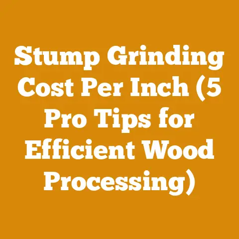 Stump Grinding Cost Per Inch (5 Pro Tips for Efficient Wood Processing)