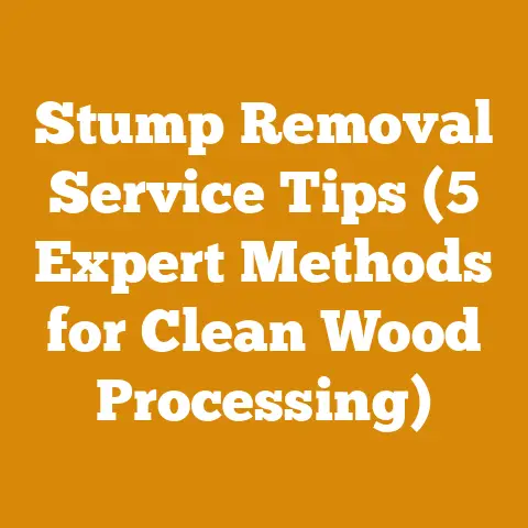 Stump Removal Service Tips (5 Expert Methods for Clean Wood Processing)