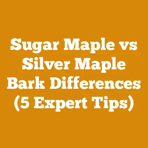 Sugar Maple vs Silver Maple Bark Differences (5 Expert Tips)
