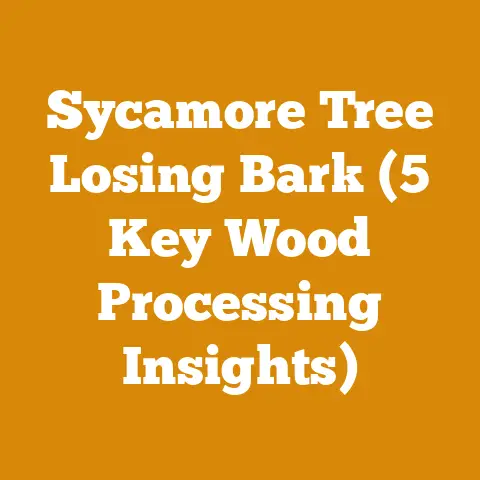 Sycamore Tree Losing Bark (5 Key Wood Processing Insights)