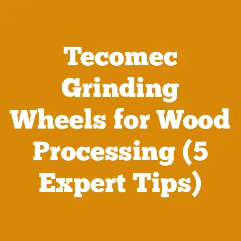 Tecomec Grinding Wheels for Wood Processing (5 Expert Tips)