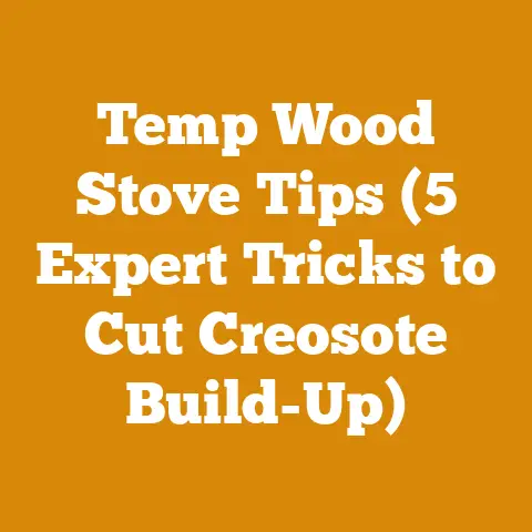 Temp Wood Stove Tips (5 Expert Tricks to Cut Creosote Build-Up)