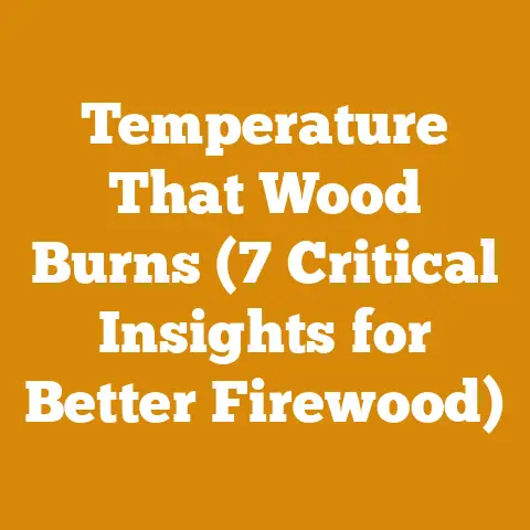 Temperature That Wood Burns (7 Critical Insights for Better Firewood)