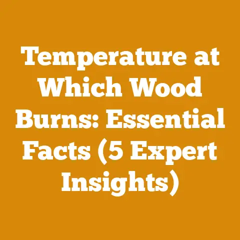 Temperature at Which Wood Burns: Essential Facts (5 Expert Insights)