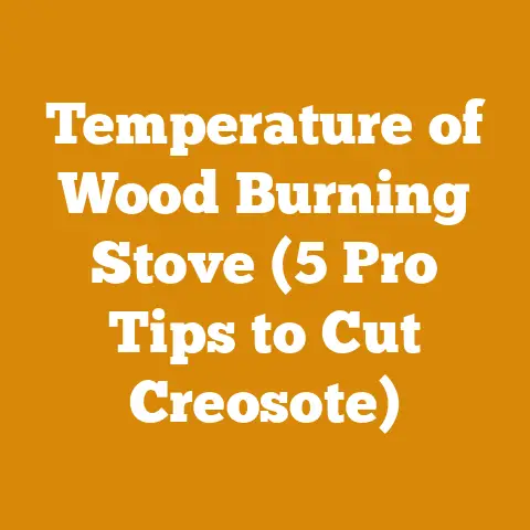 Temperature of Wood Burning Stove (5 Pro Tips to Cut Creosote)