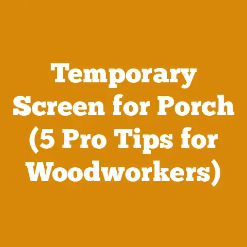 Temporary Screen for Porch (5 Pro Tips for Woodworkers)