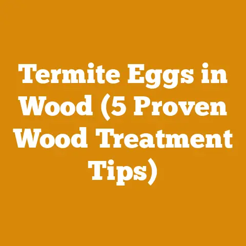 Termite Eggs in Wood (5 Proven Wood Treatment Tips)