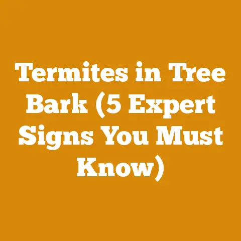 Termites in Tree Bark (5 Expert Signs You Must Know)