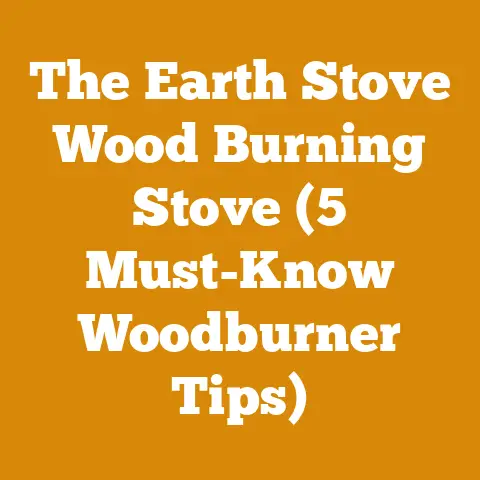 The Earth Stove Wood Burning Stove (5 Must-Know Woodburner Tips)