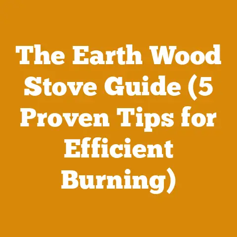 The Earth Wood Stove Guide (5 Proven Tips for Efficient Burning)