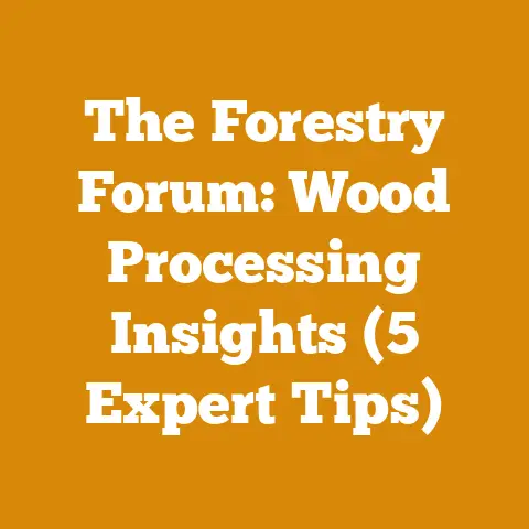 The Forestry Forum: Wood Processing Insights (5 Expert Tips)