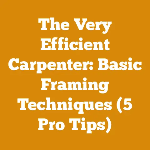 The Very Efficient Carpenter: Basic Framing Techniques (5 Pro Tips)
