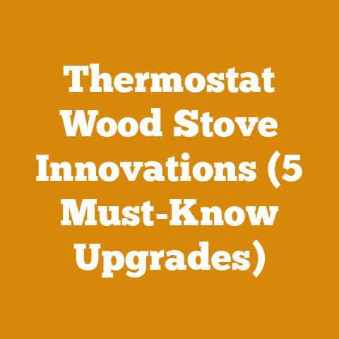 Thermostat Wood Stove Innovations (5 Must-Know Upgrades)