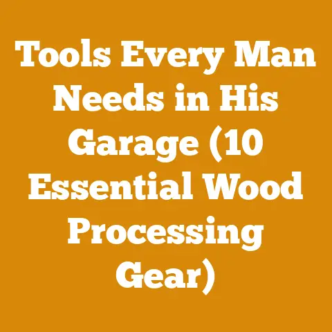 Tools Every Man Needs in His Garage (10 Essential Wood Processing Gear)