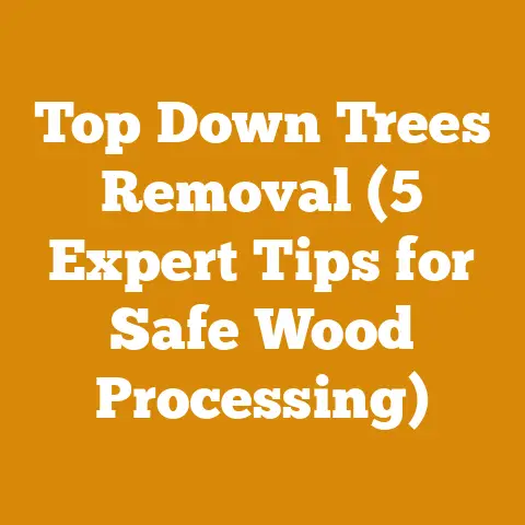 Top Down Trees Removal (5 Expert Tips for Safe Wood Processing)