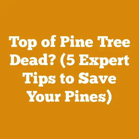 Top of Pine Tree Dead? (5 Expert Tips to Save Your Pines)