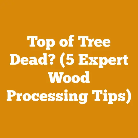 Top of Tree Dead? (5 Expert Wood Processing Tips)