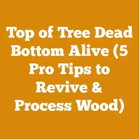 Top of Tree Dead Bottom Alive (5 Pro Tips to Revive & Process Wood)