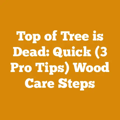 Top of Tree is Dead: Quick (3 Pro Tips) Wood Care Steps