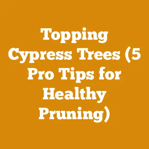 Topping Cypress Trees (5 Pro Tips for Healthy Pruning)