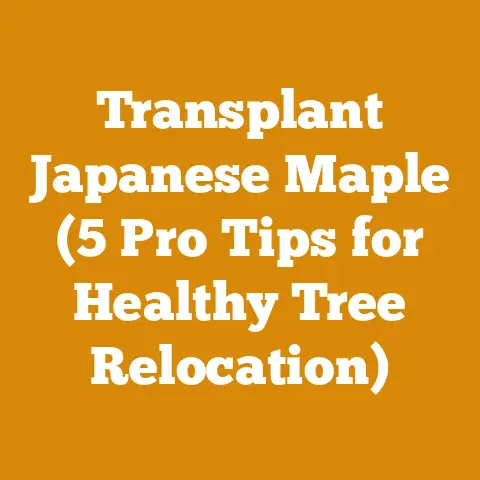 Transplant Japanese Maple (5 Pro Tips for Healthy Tree Relocation)