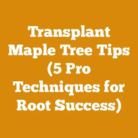 Transplant Maple Tree Tips (5 Pro Techniques for Root Success)