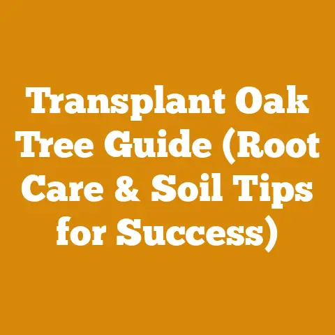 Transplant Oak Tree Guide (Root Care & Soil Tips for Success)