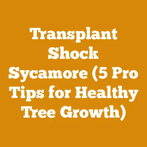 Transplant Shock Sycamore (5 Pro Tips for Healthy Tree Growth)