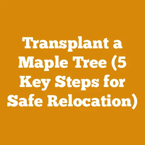 Transplant a Maple Tree (5 Key Steps for Safe Relocation)