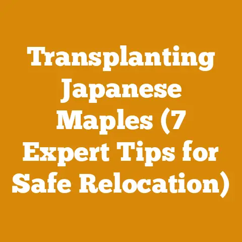 Transplanting Japanese Maples (7 Expert Tips for Safe Relocation)