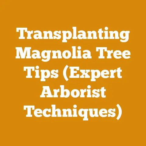 Transplanting Magnolia Tree Tips (Expert Arborist Techniques)