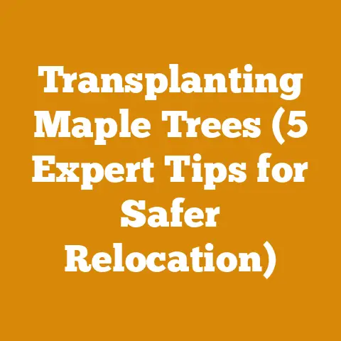 Transplanting Maple Trees (5 Expert Tips for Safer Relocation)