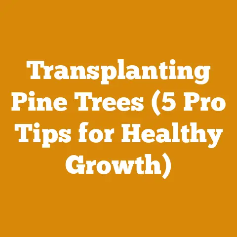 Transplanting Pine Trees (5 Pro Tips for Healthy Growth)