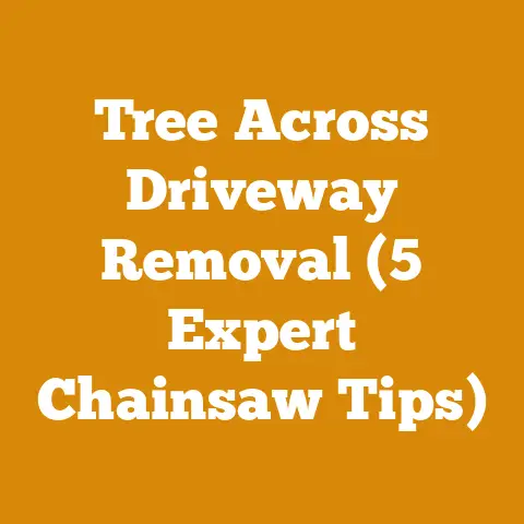 Tree Across Driveway Removal (5 Expert Chainsaw Tips)