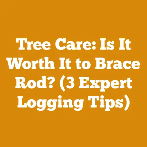 Tree Care: Is It Worth It to Brace Rod? (3 Expert Logging Tips)