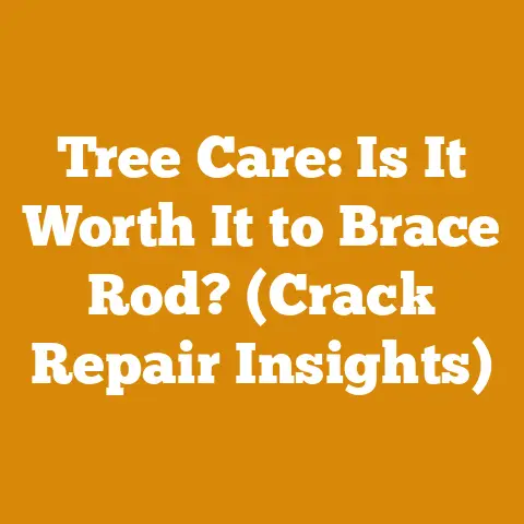 Tree Care: Is It Worth It to Brace Rod? (Crack Repair Insights)