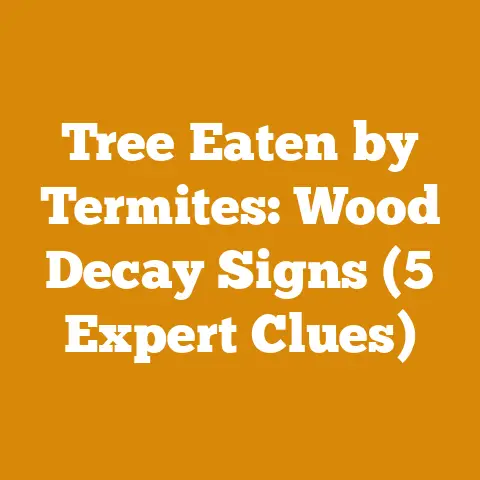 Tree Eaten by Termites: Wood Decay Signs (5 Expert Clues)